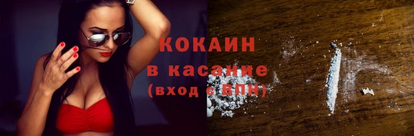 шишки Аркадак