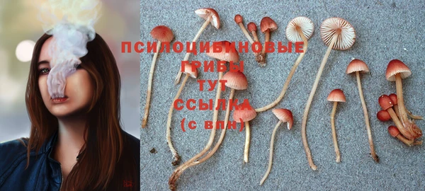 экстази Баксан