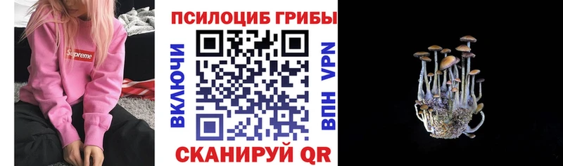 Псилоцибиновые грибы ЛСД  Бутурлиновка 