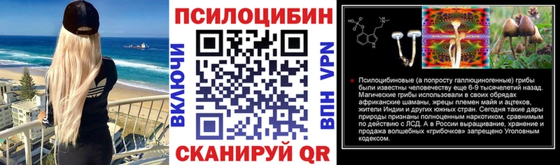 Псилоцибиновые грибы Psilocybe Бутурлиновка